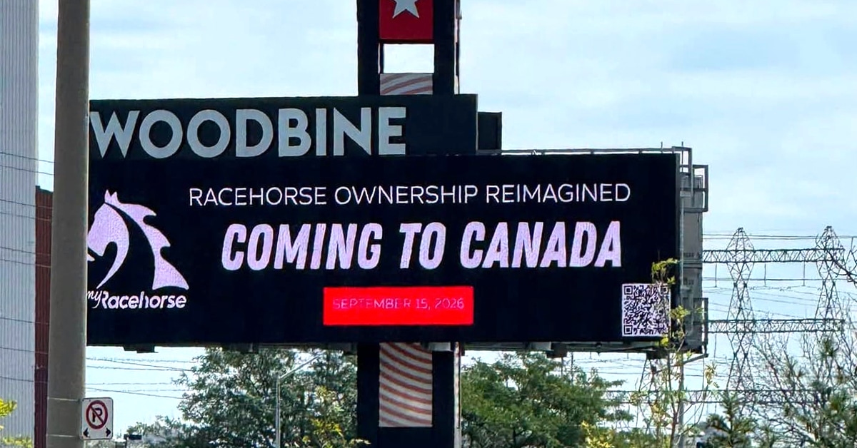 A sign promoting MyRacehorse.