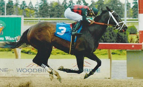 An old photo of a bay mare winning a race at Woodbine.