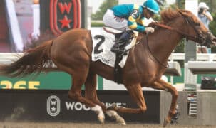 A chestnut horse winning a race at Woodbine.
