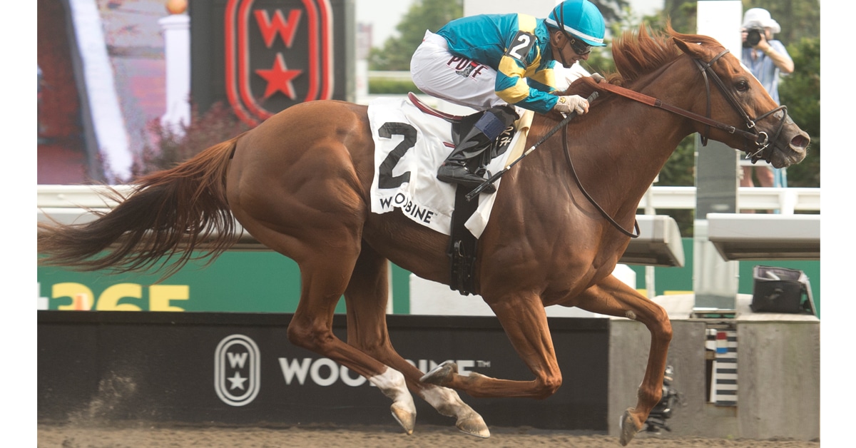 A chestnut horse winning a race at Woodbine.