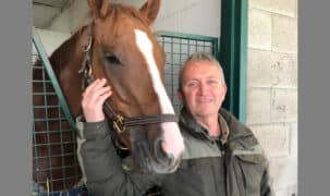 A man standing with a chestnut horse in a backstretch stall.