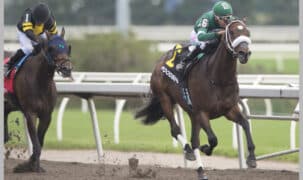 A bay horse winning a race at Woodbine.