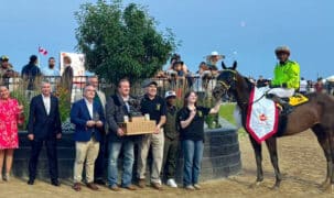 A group of people with a horse and jockey in the winner's circle.
