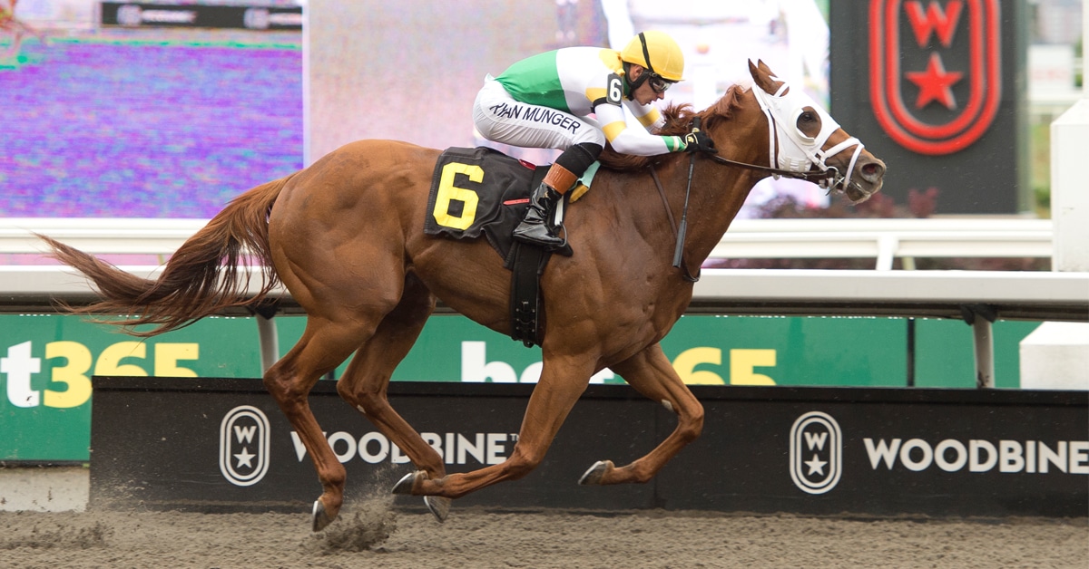A chestnut horse winning a race at Woodbine.
