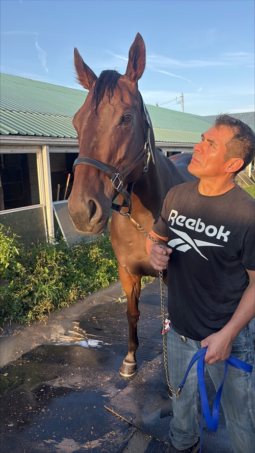 A man holding a horse on the backstretch.
