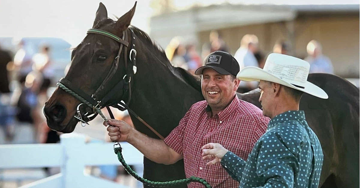 Two smiling men holding a dark bay horse.