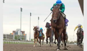 Horses racing to the finish at Woodbine.