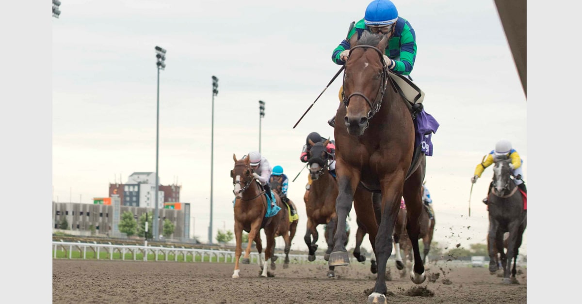 Horses racing to the finish at Woodbine.