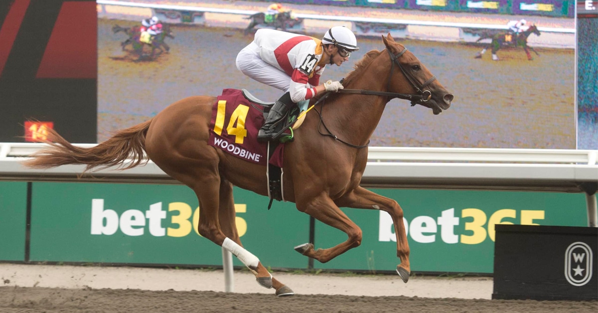 A chestnut filly winning a race at Woodbine.