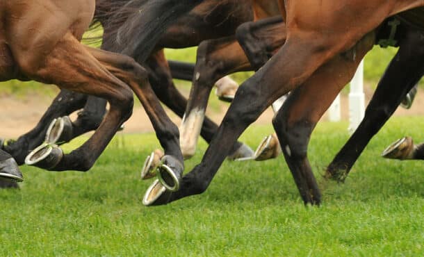 Closeup of horses' legs during a race.