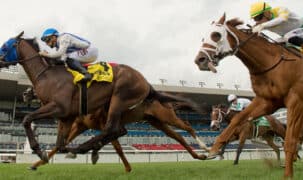 A group of horses racing to the finish at Woodbine.
