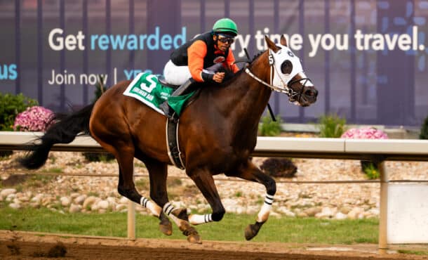 A jockey on a bay horse crossing the finish line.