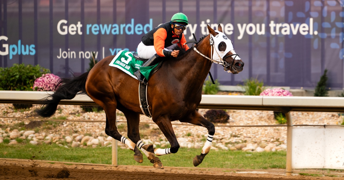 A jockey on a bay horse crossing the finish line.