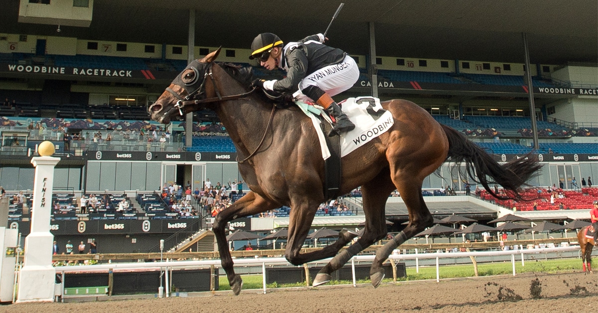 A bay filly winning a race at Woodbine.