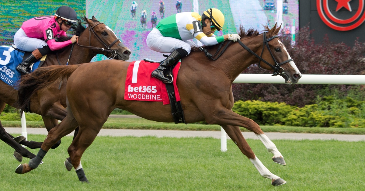 A chestnut horse winning a race at Woodbine.