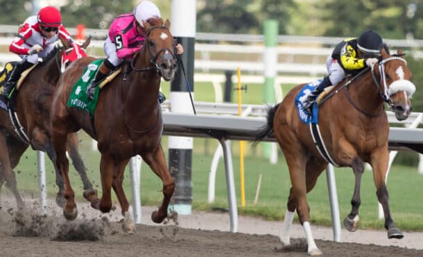 Horses racing at Woodbine.