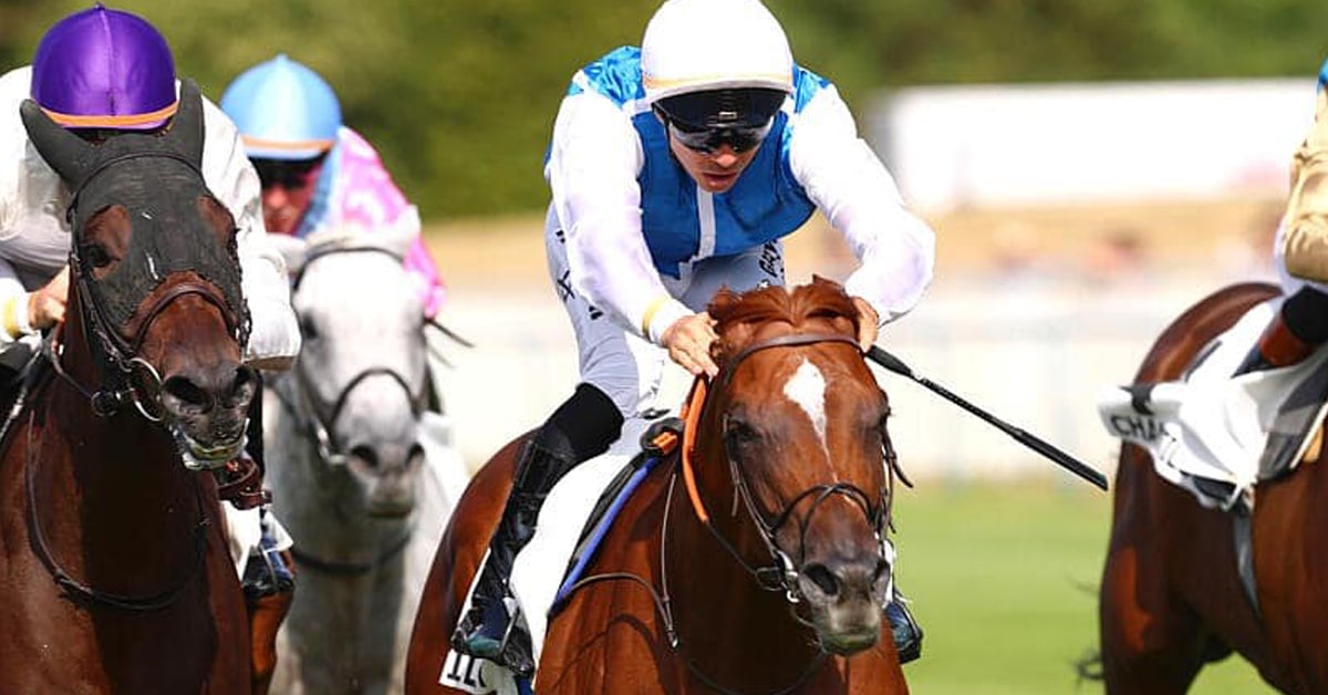 A chestnut horse with ears pinned winning a race in France.