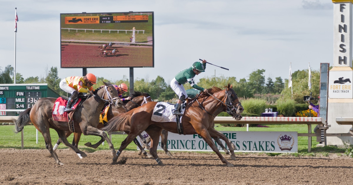 Horses crossing the finish line at Fort Erie.