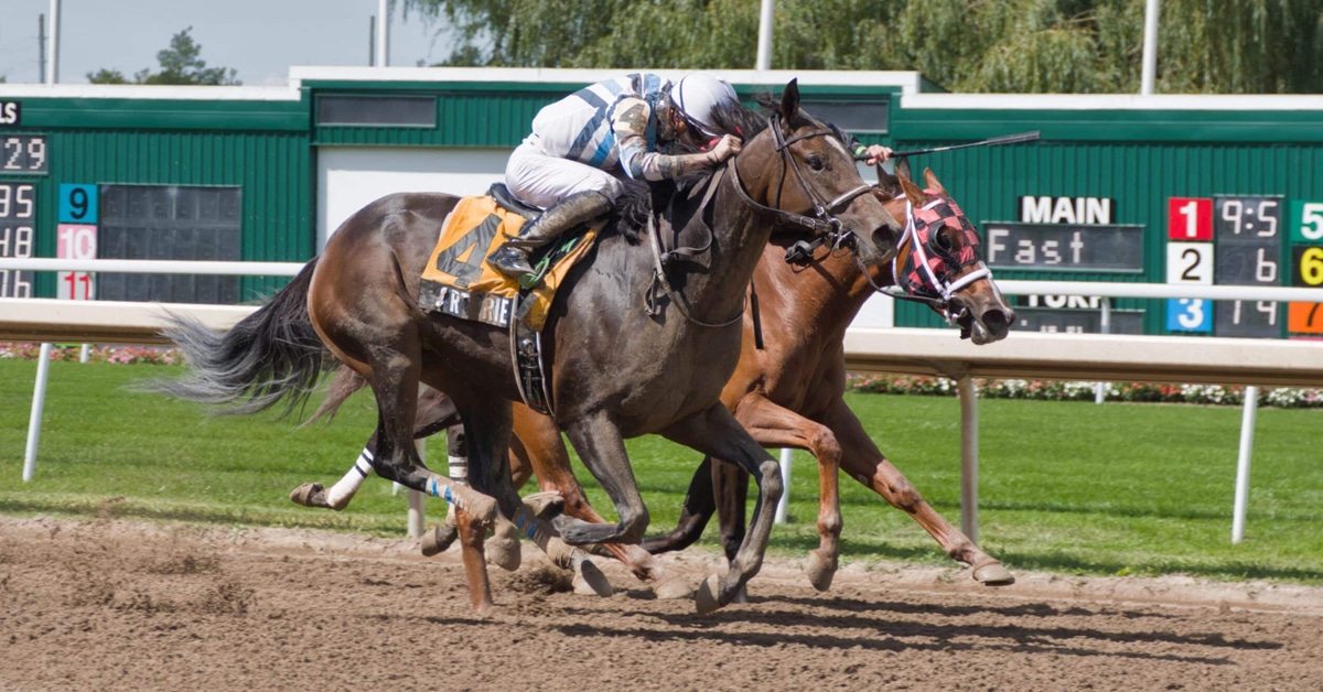 Horses racing at Fort Erie.