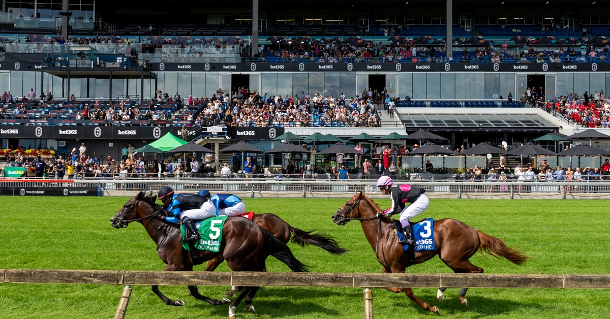 The E.P. Taylor Turf Course at Woodbine Racetrack.