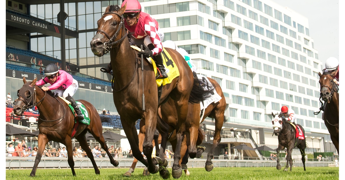 Horses racing to the finish line at Woodbine.