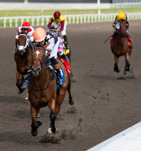 Four horses racing to the finish line at Woodbine.
