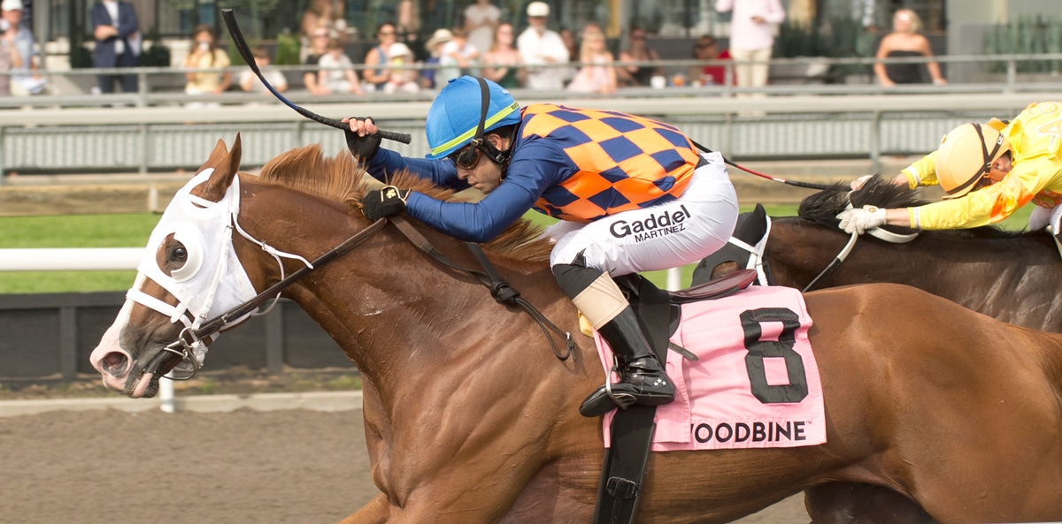 A chestnut horse winning a race at Woodbine.