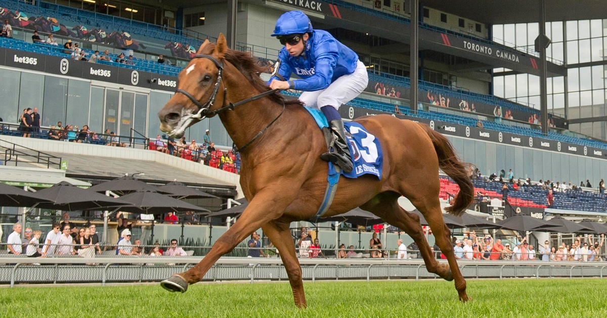 A chestnut horse winning a turf race at Woodbine.