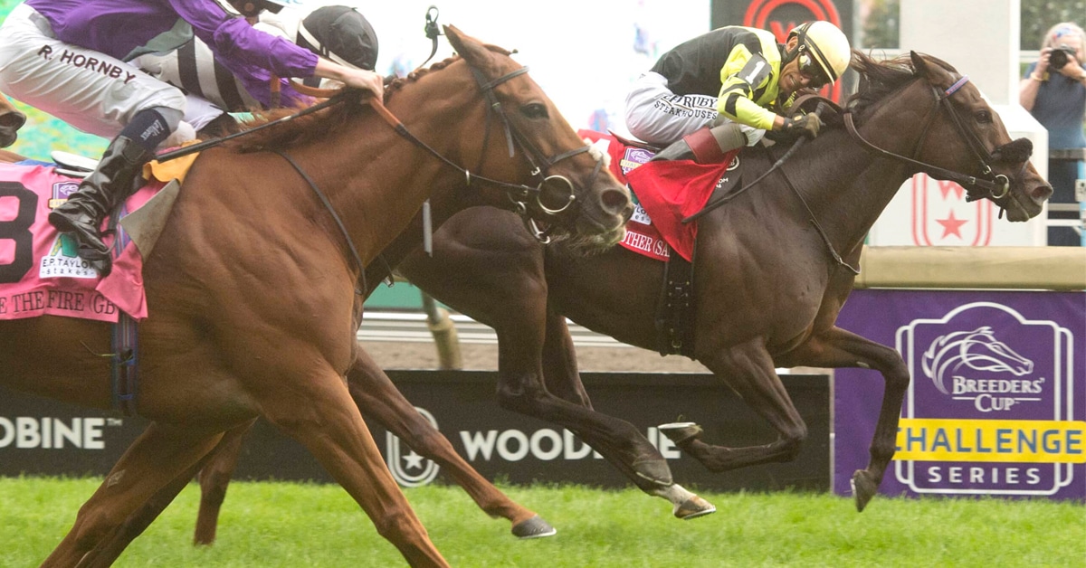 A jockey looking over as he crosses the finish line at Woodbine on a bay horse.