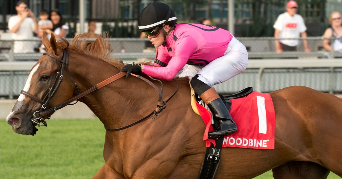 A jockey wearing pink silks wining a race at Woodbine on a chestnut mare.