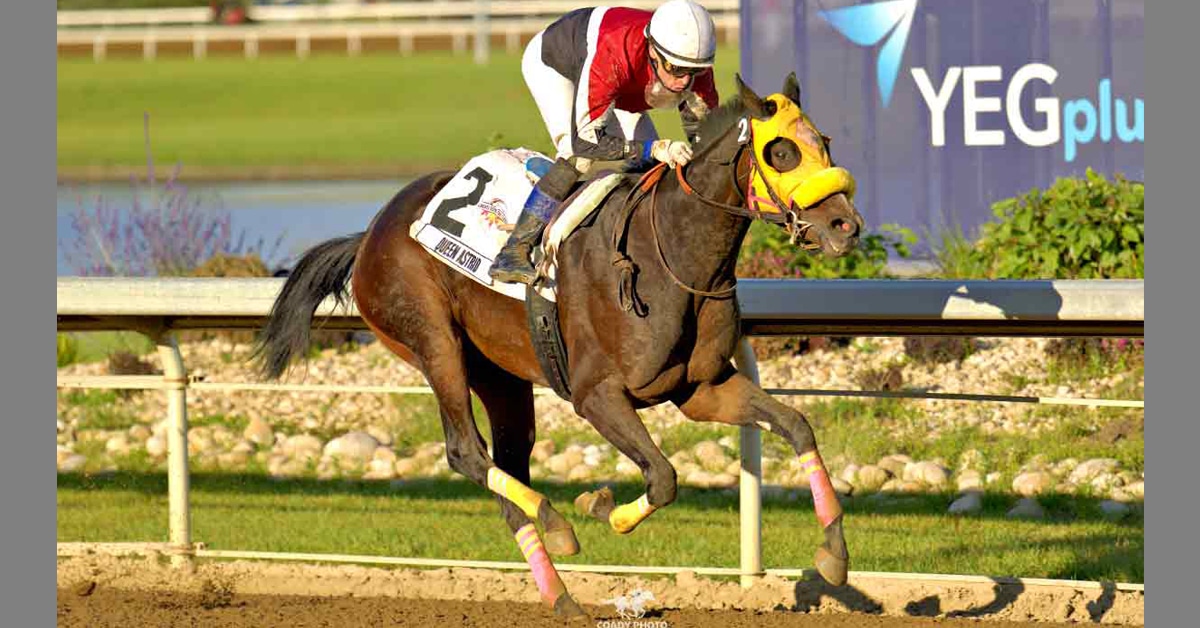 A bay filly winning a race at Century Mile.
