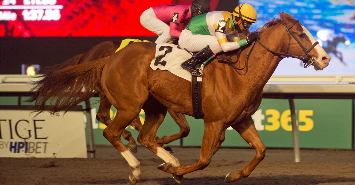 A chestnut horse winning a race at Woodbine.
