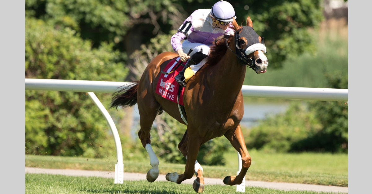 A chestnut filly winning a race at Woodbine.