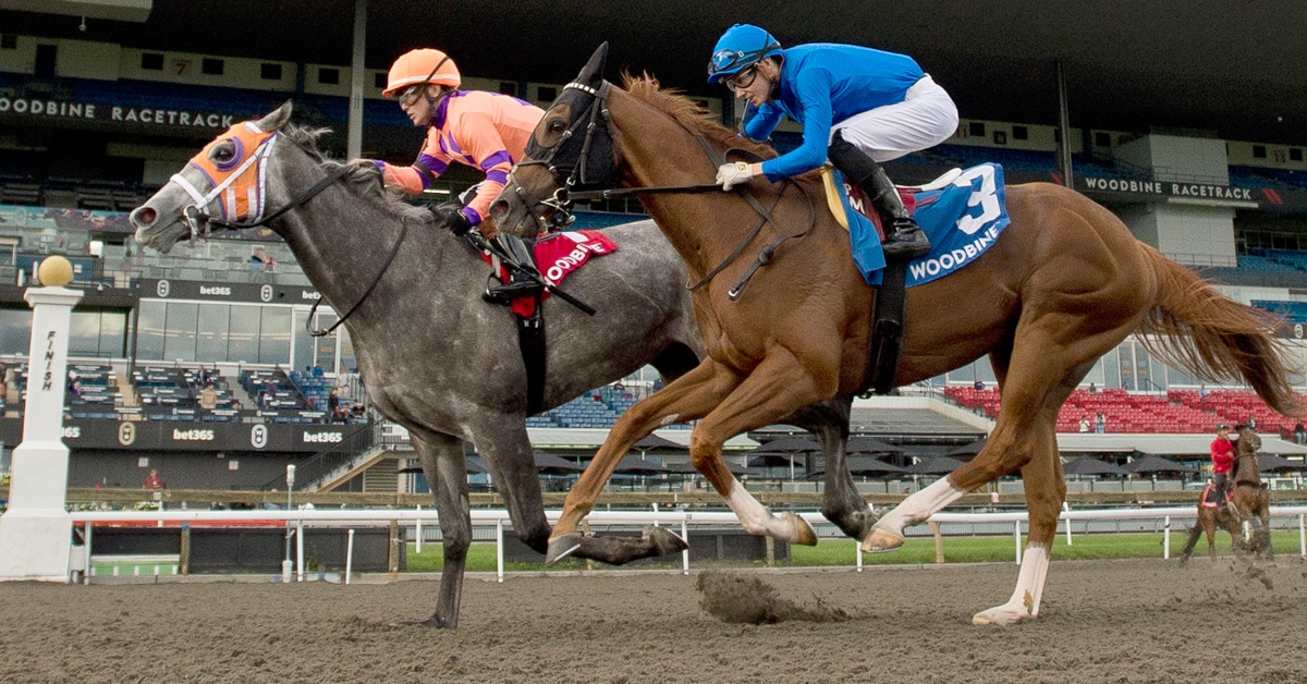Two horses racing to the finish at Woodbine.