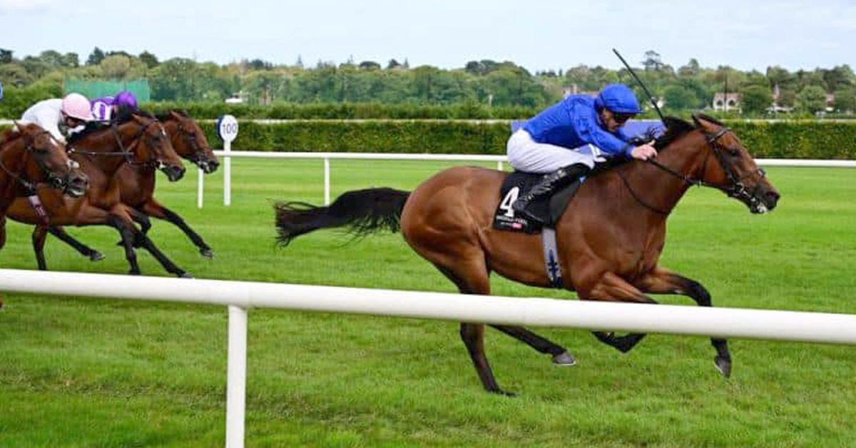 Horses racing in Ireland on the turf.