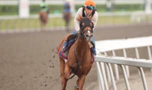 A chestnut horse being exercised at the track.