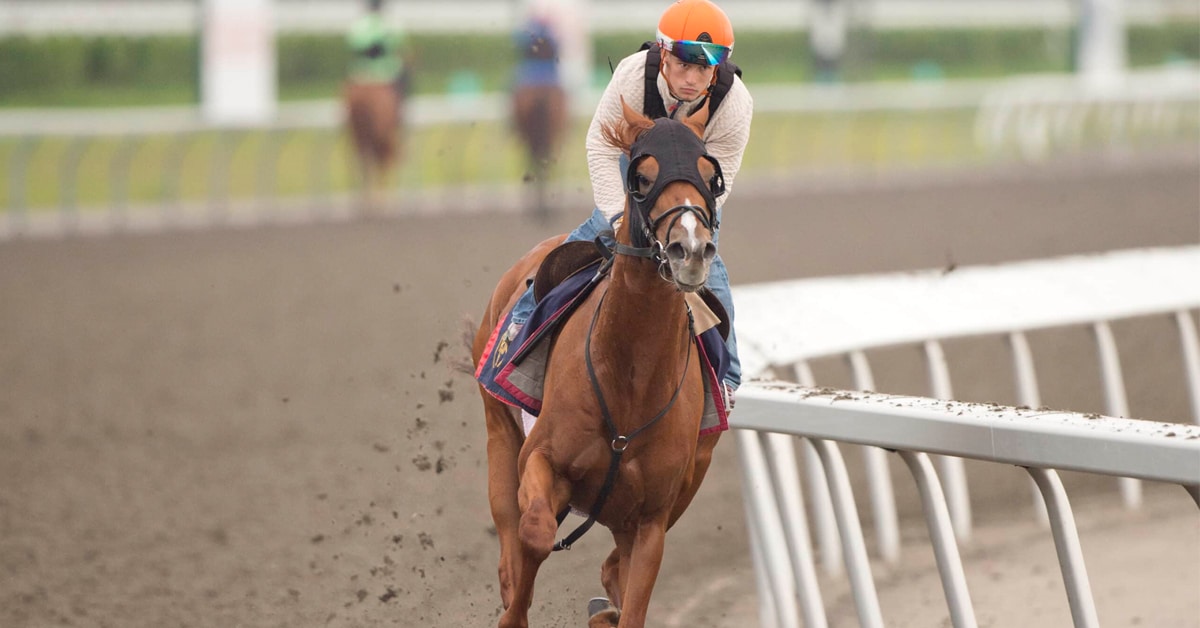 A chestnut horse being exercised at the track.