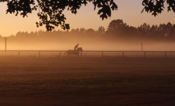 A racehorse being exercised at dawn.