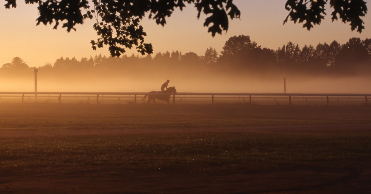 A racehorse being exercised at dawn.
