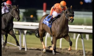 Two horses racing to the finish line at Woodbine.