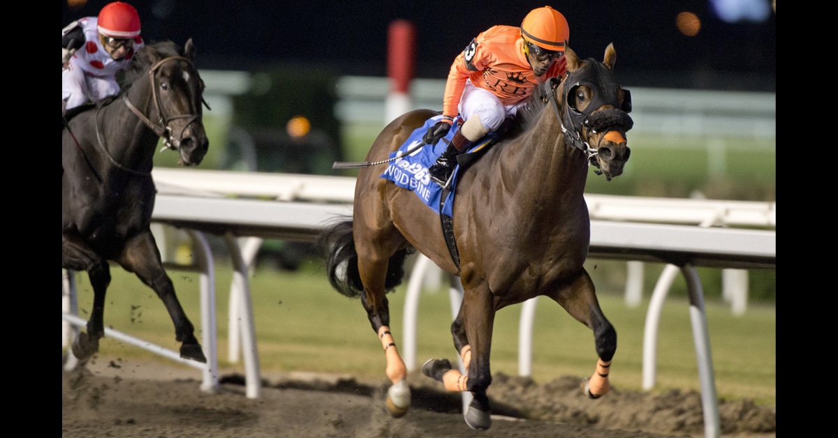 Two horses racing to the finish line at Woodbine.