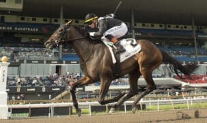 A bay filly winning a race at Woodbine.
