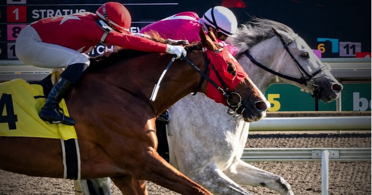 Two horses racing to the wire at Woodbine.