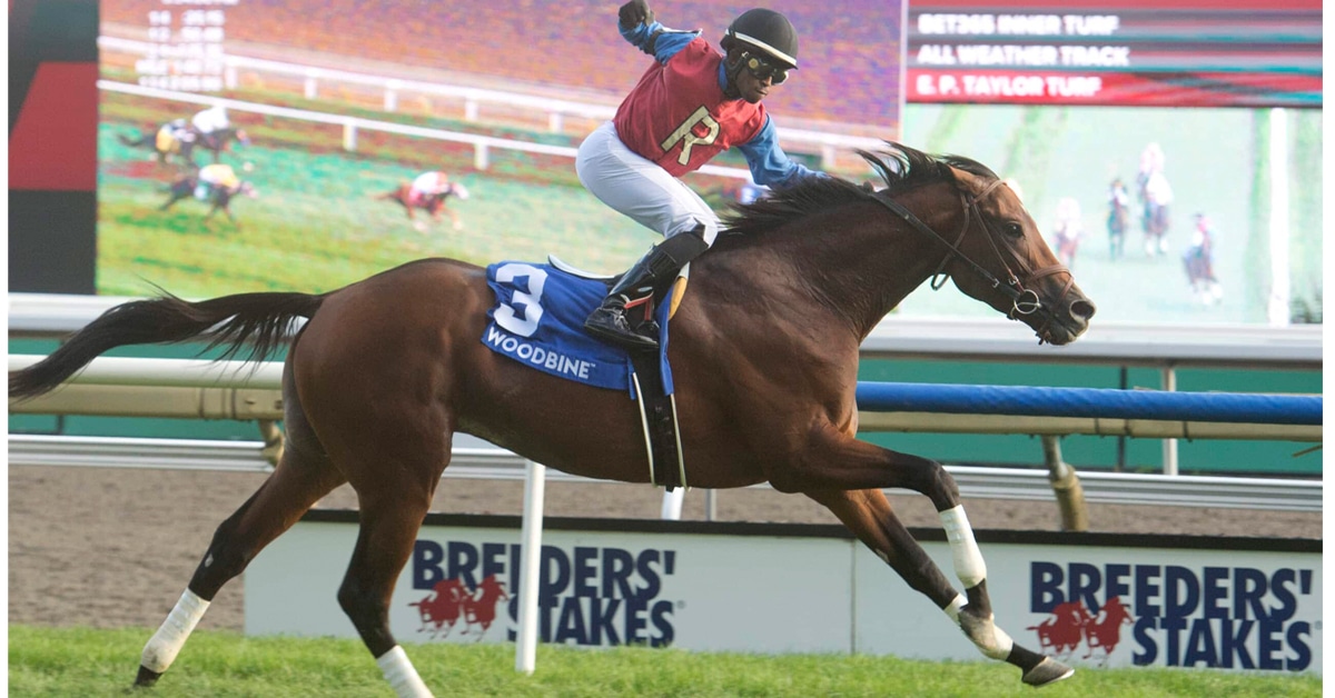 A jockey with fist raised crossing the finish line on a bay horse.