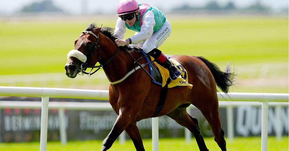 A bay horse racing on the turf in Europe.