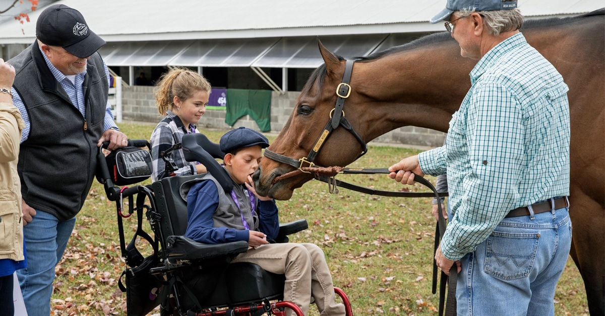 A horse sniffing a young boy in a wheelchair.