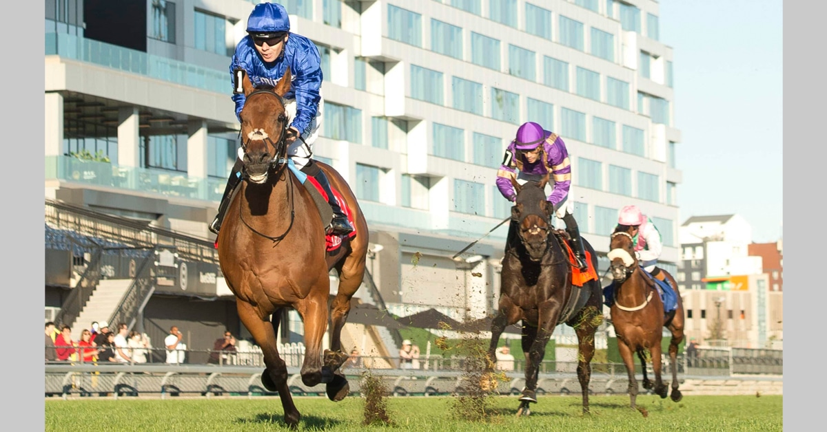 Horses racing to the wire at Woodbine.