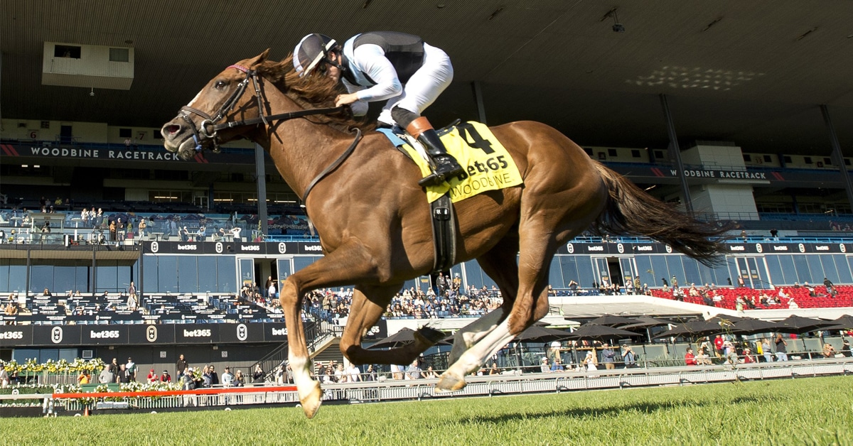 a chestnut horse winning a race at Woodbine.