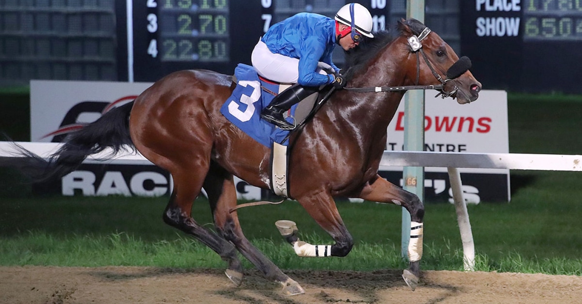 A bay horse winning a race at ASD.