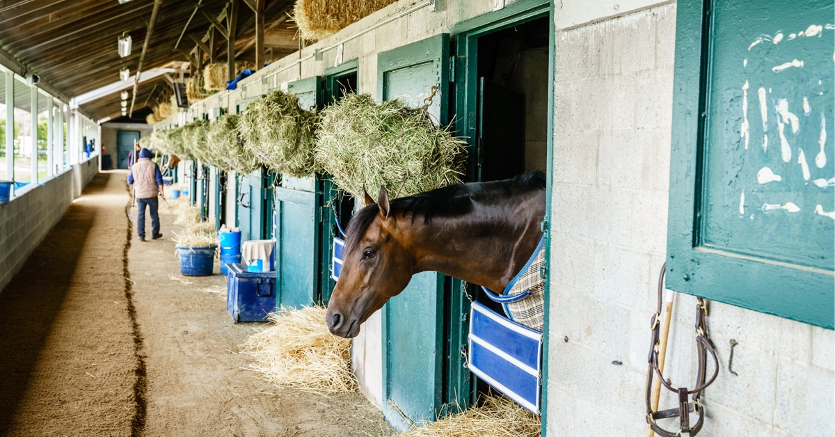 A backstretch shedrow.